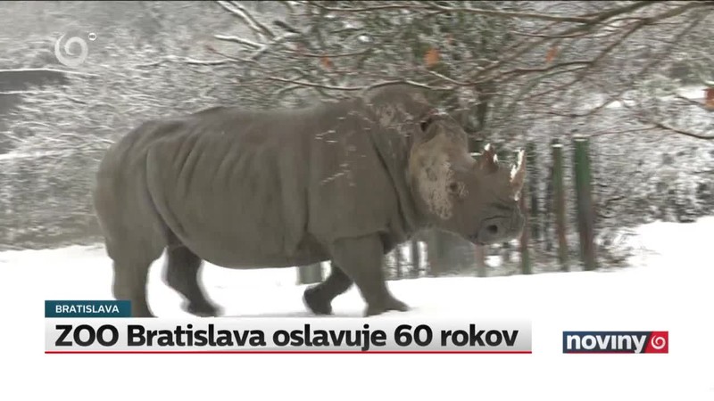 ZOO Bratislava oslavuje 60 rokov