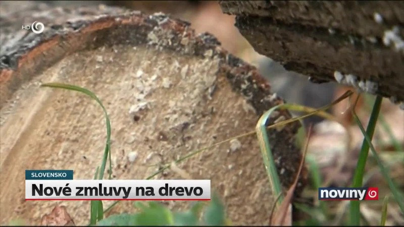 Nové zmluvy na drevo