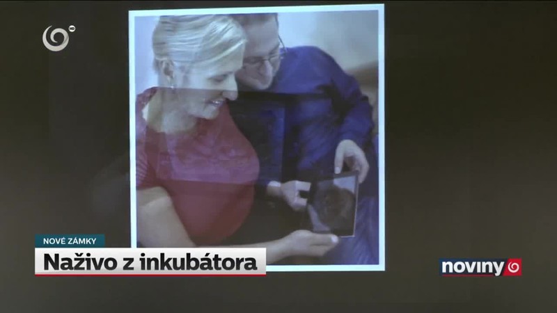 Naživo z inkubátora