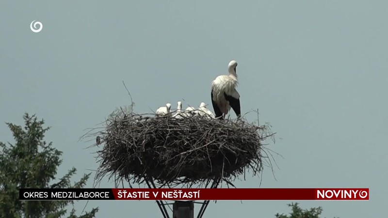ŠŤASTIE V NEŠŤASTÍ