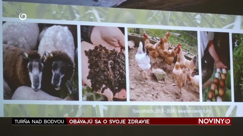 OBÁVAJÚ SA O SVOJE ZDRAVIE