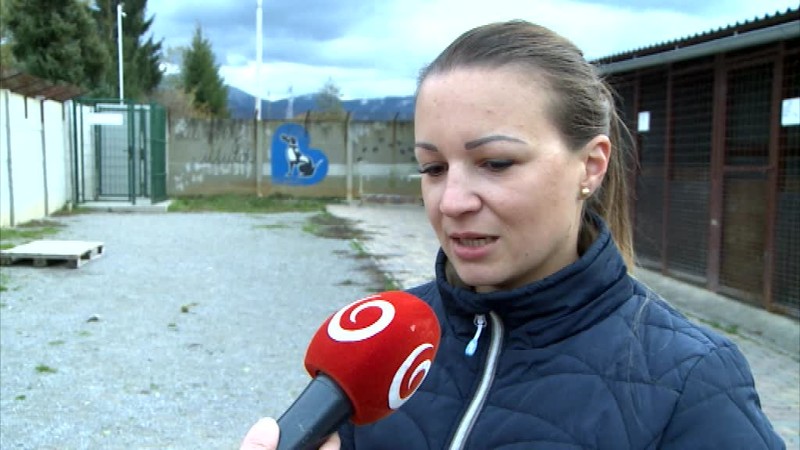 Rodine pribudlo 5 nových šteniatok, ktoré niekto vyhodil
