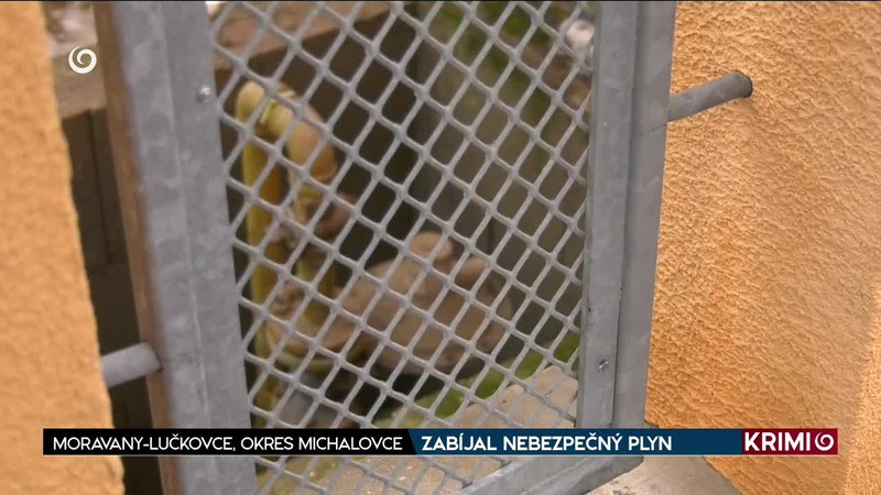 ZABÍJAL NEBEZPEČNÝ PLYN