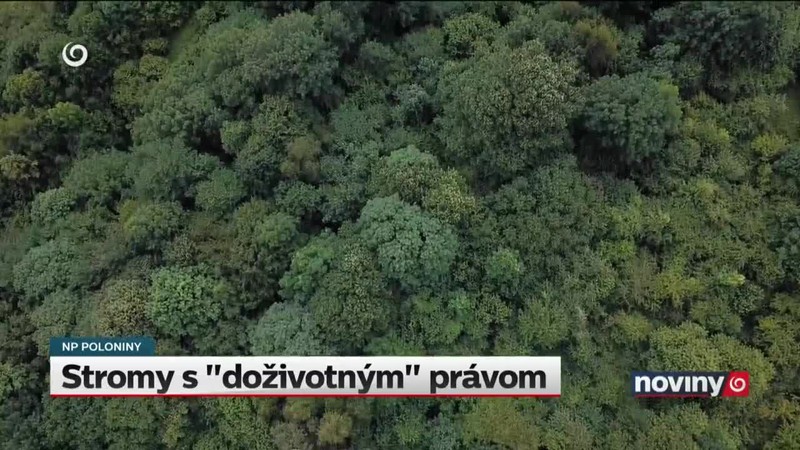 Stromy s "doživotným" právom