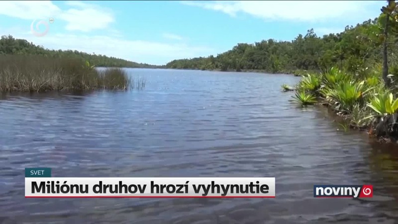 Miliónu druhov hrozí vyhynutie