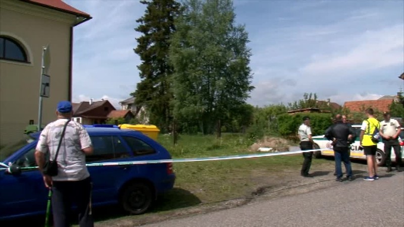 Medvedicu Inge zastrelili