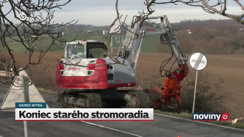 Koniec starého stromoradia