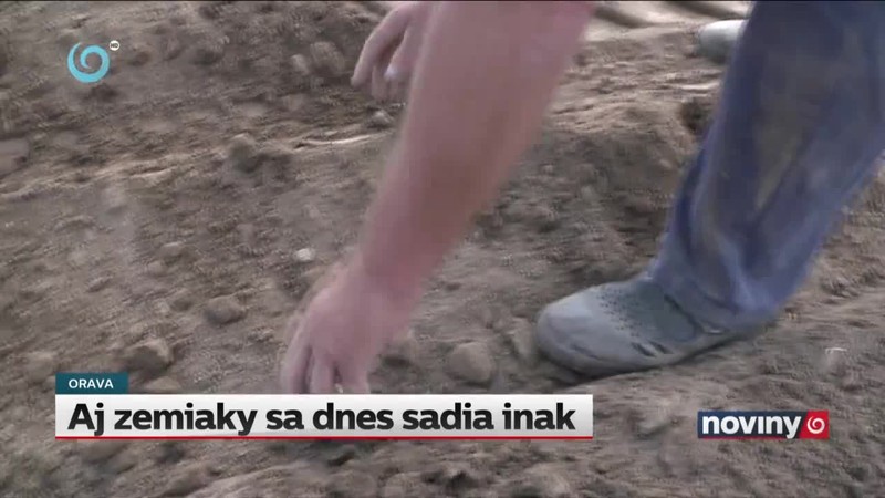 Aj zemiaky sa dnes sadia inak