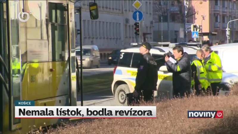 Nemala lístok, bodla revízora