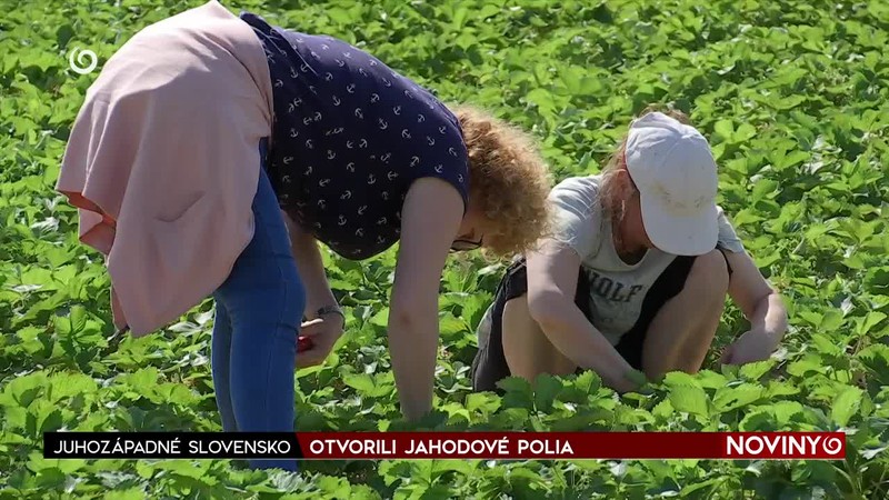 ĎALŠIA ZBYTOČNÁ SMRŤ?