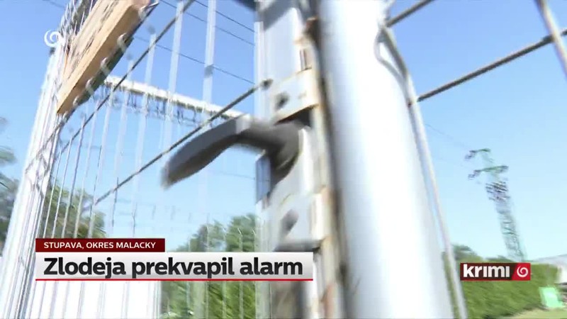 Zlodeja prekvapil alarm