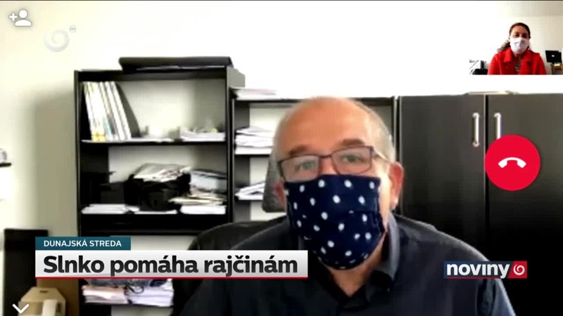 Slnko pomáha rajčinám