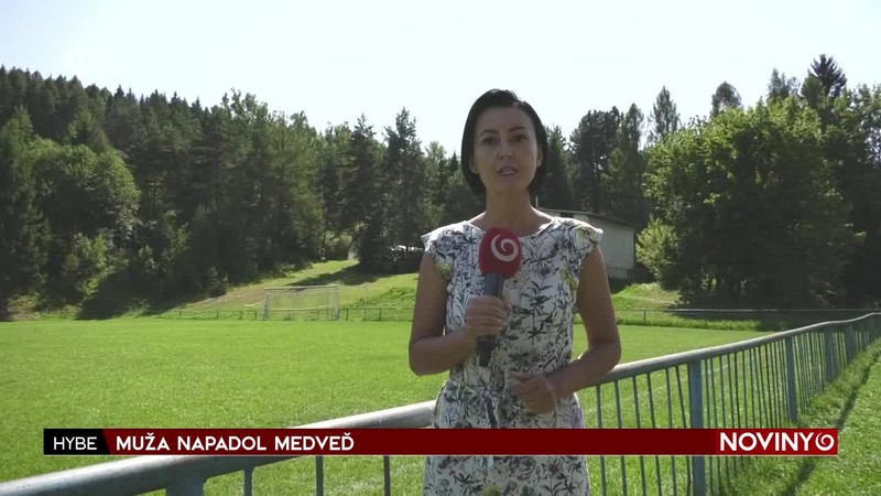 MUŽA NAPADOL MEDVEĎ