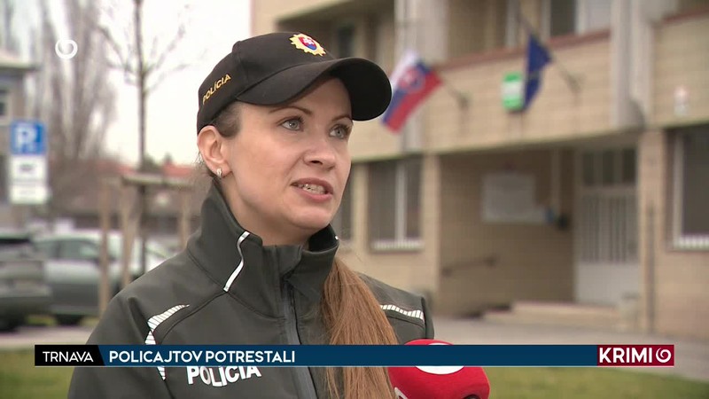 POLICAJTOV POTRESTALI