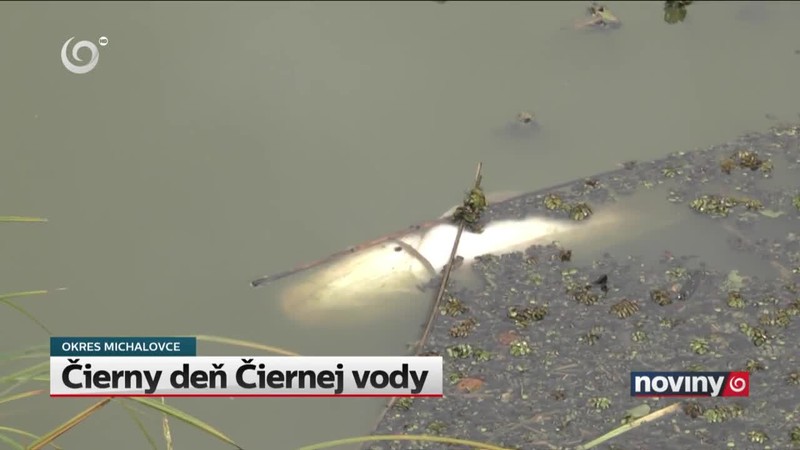 Čierny deň Čiernej vody