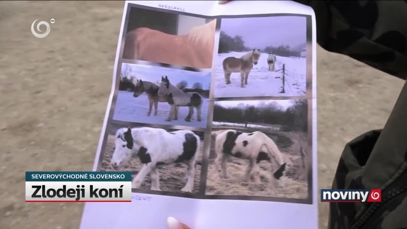 Zlodeji koní
