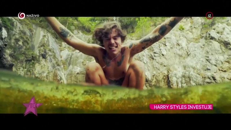 HARRY STYLES INVESTUJE
