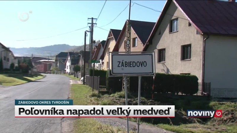 Poľovníka napadol veľký medveď