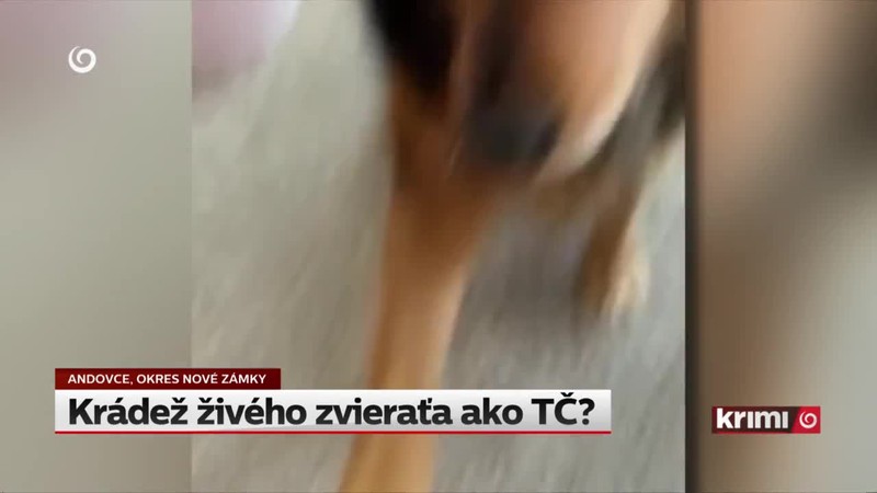 Krádež živého zvieraťa ako TČ?