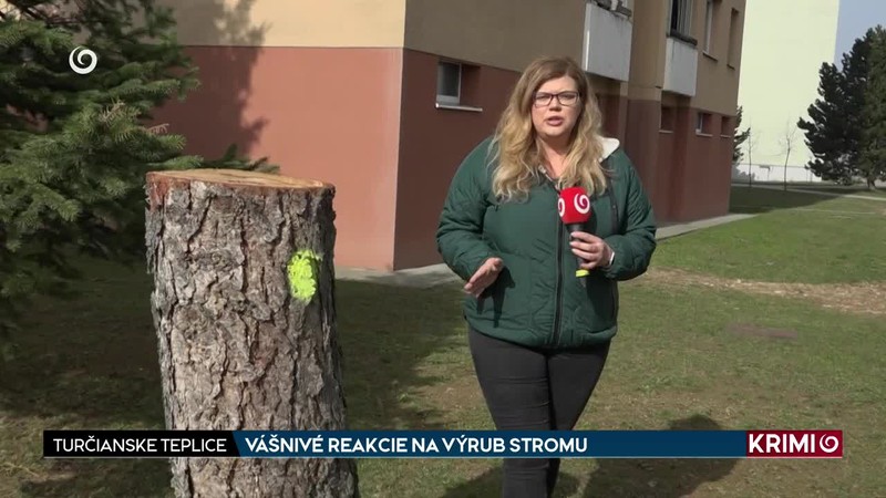 VÁŠNIVÉ REAKCIE NA VÝRUB STROMU