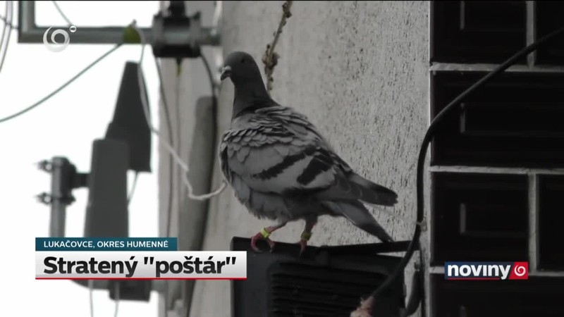 Stratený "poštár"