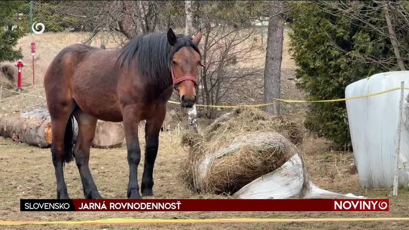 JARNÁ ROVNODENNOSŤ