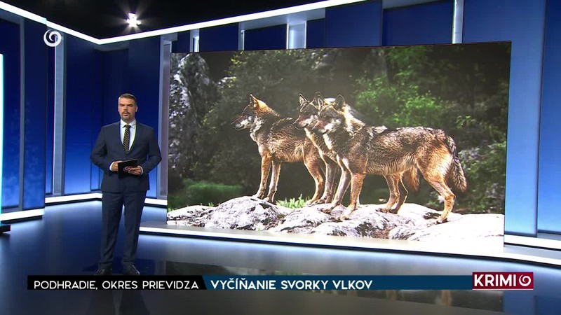 HROMADNÁ NEHODA NA D1