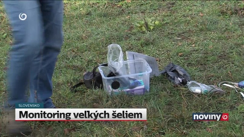 Monitoring veľkých šeliem