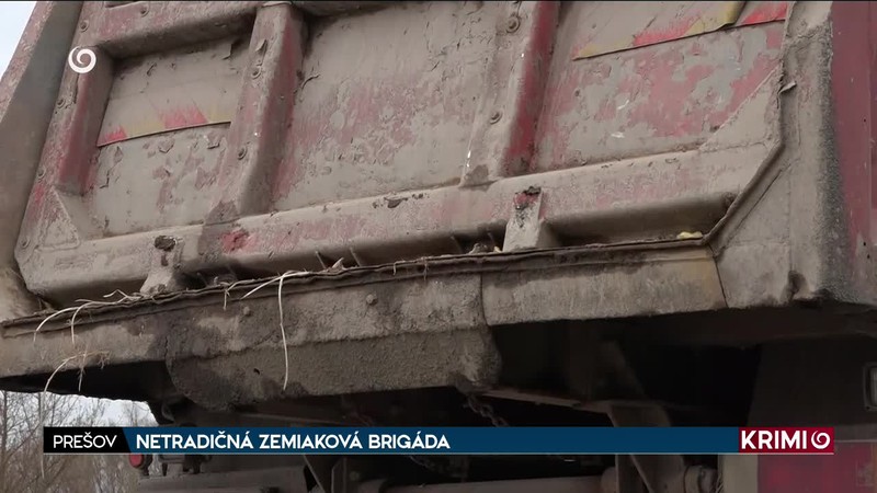 NETRADIČNÁ ZEMIAKOVÁ BRIGÁDA