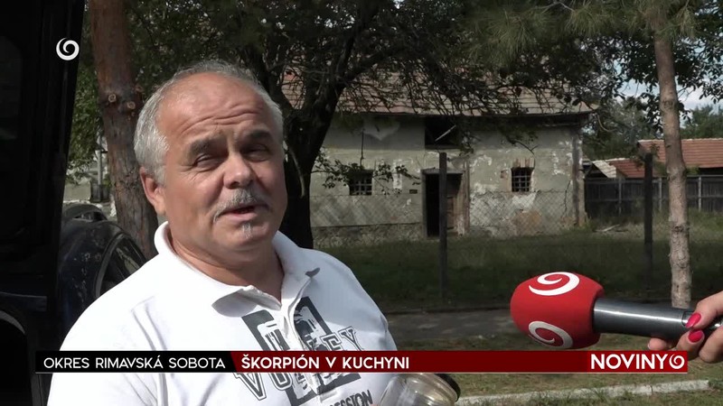 ŠKORPIÓN V KUCHYNI
