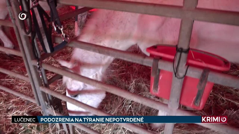 PODOZRENIA NA TÝRANIE NEPOTVRDENÉ
