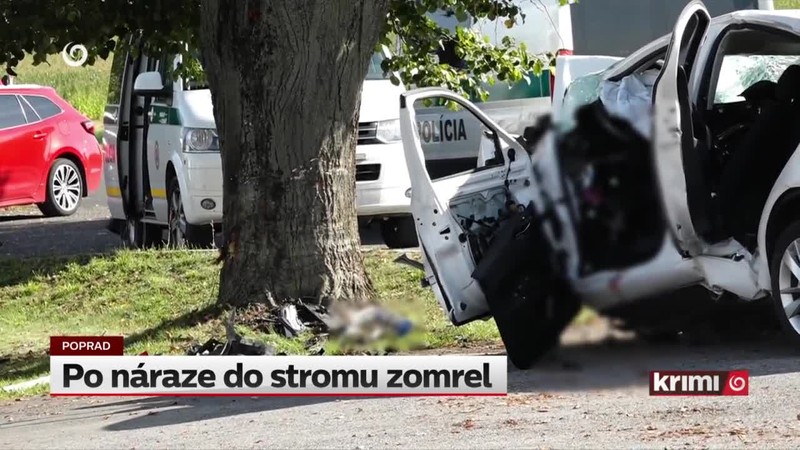 Po náraze do stromu zomrel