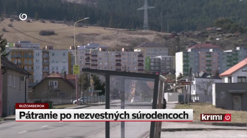 Pátranie po nezvestných súrodencoch