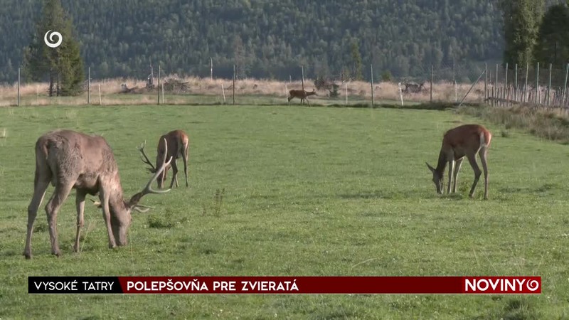 POLEPŠOVŇA PRE ZVIERATÁ