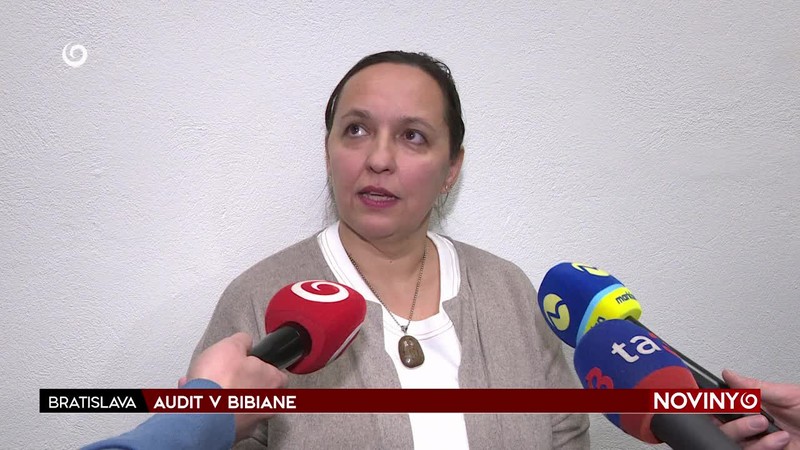 AUDIT V BIBIANE