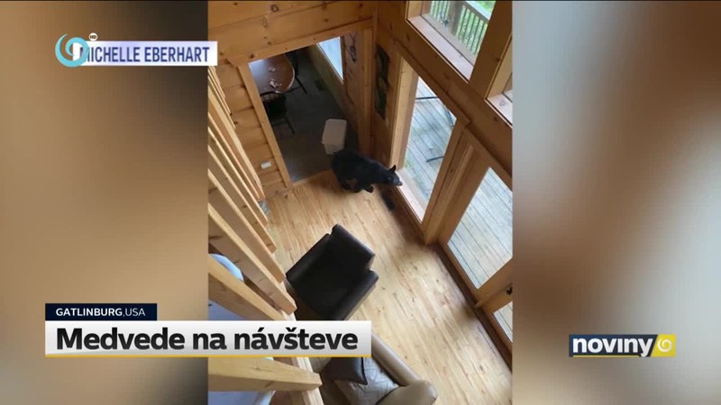 Medvede na návšteve