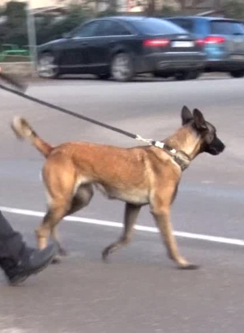 Policajná razia. Kukláči zadržali muža pôvodom z Albánska