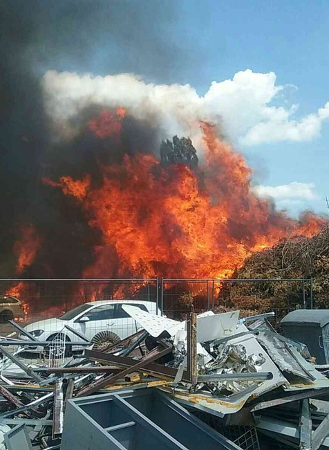 V Petržalke horí drvička