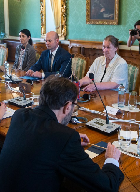 prezidentka ženy násilie ochrana rokovanie opatrenia (4)