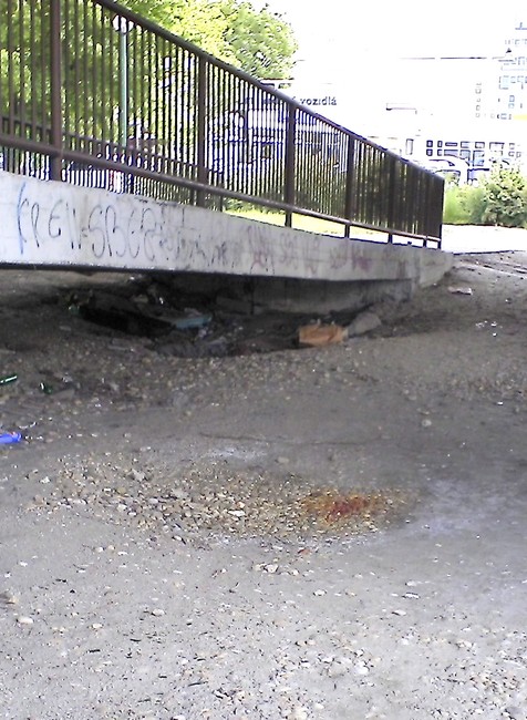 Bratislava Panónska cesta bezdomovci skrýša tvojenoviny 10