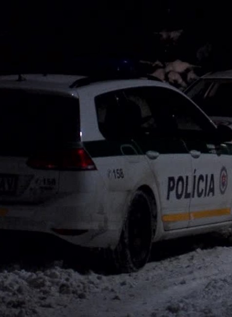 [multi] Pichla muža 876