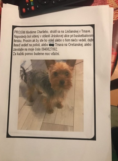 Charlie stratený Trnava 4