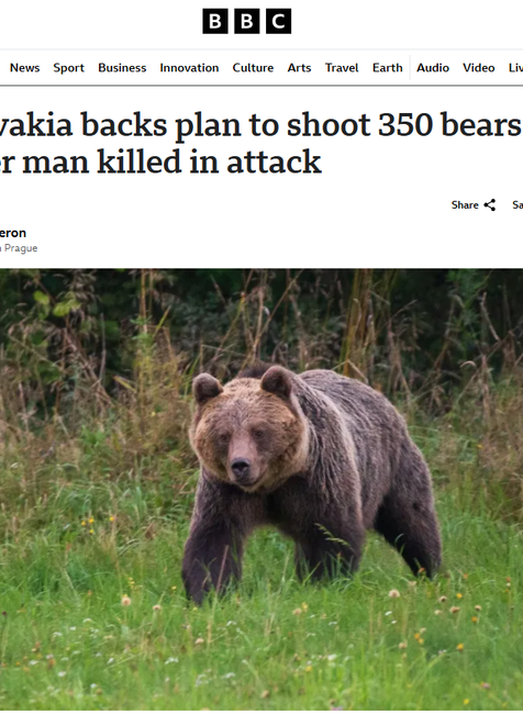 O odstrele medveďov píše BBC