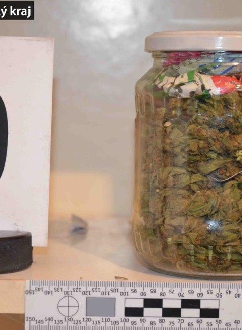 FOTO: Poriadny úlovok polície. V Šoporni zaistili viac ako 800 dávok drogy