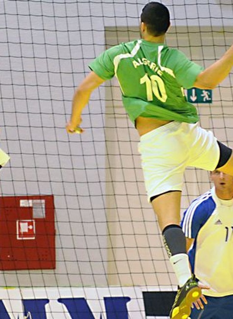 Slovensko-Alžírsko