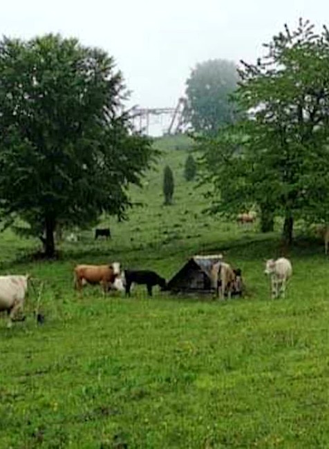 [multi] Tragédia na družstve 4017