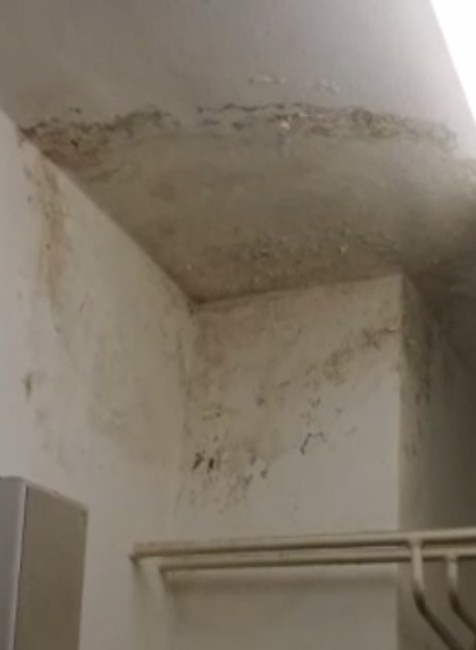 Plesne v nemocniciach