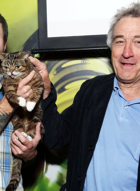 Mačka Lil Bub herec Robert de Niro