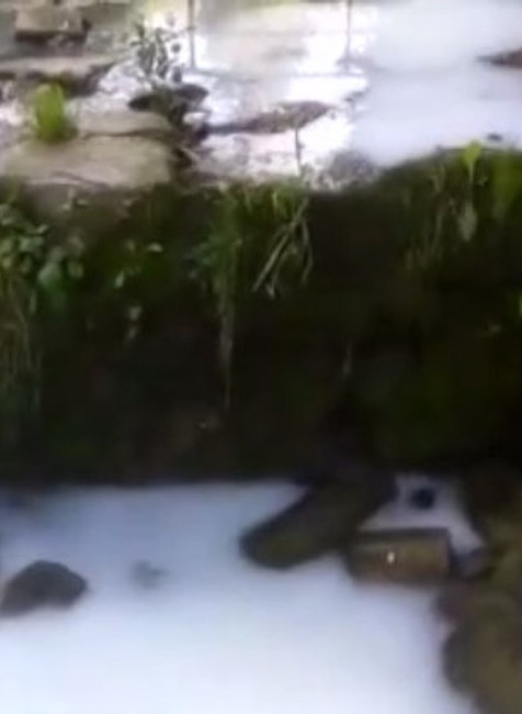 Voda v potoku sa premenila akoby na mlieko. Ohrozené zostali viaceré chránené živočíchy