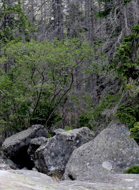 Túra vo Vysokých Tatrách 1